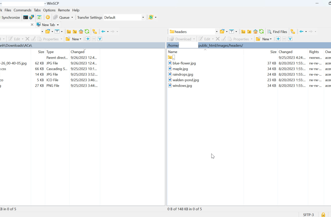 Hướng dẫn sử dụng phần mềm WinSCP để quản lý tệp và thư mục